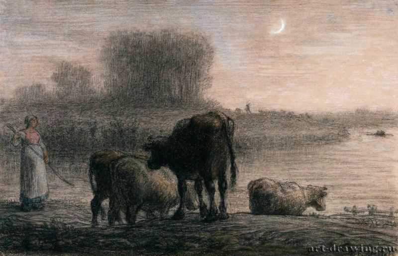 Коровы на водопое, 1863 г. - Карандаш, пастель, бумага; 31,1 x 46,4 см. Музей изящных искусств. Бостон. Франция.