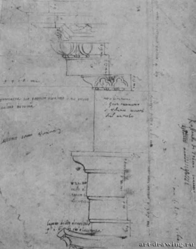 Архитектурные фрагменты римского Пантеона, зарисовки профиля стены. 1512-1513 - Рафаэль Санти. 239 х 187 мм. Перо на бумаге. Лондон. Королевский институт архитектуры.