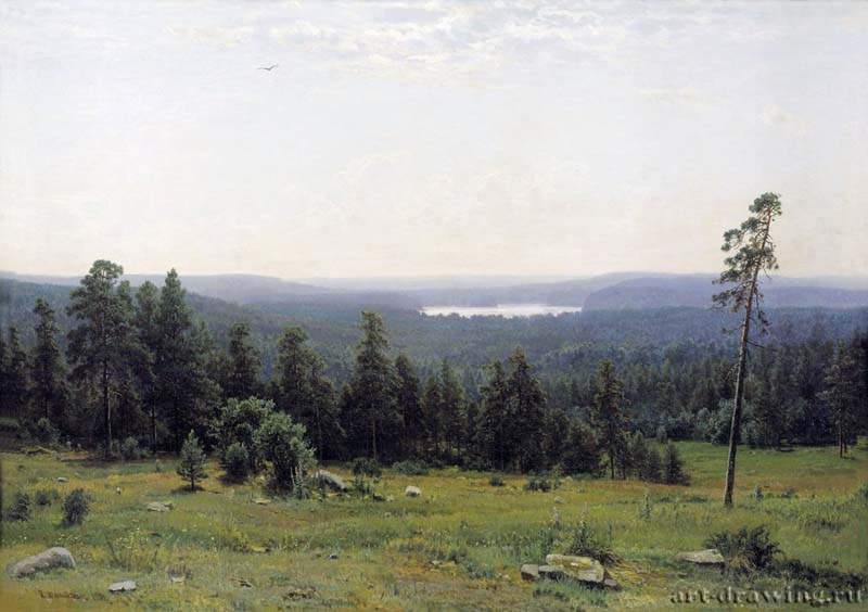 Лесные дали. 1884 - 112,8 х 164