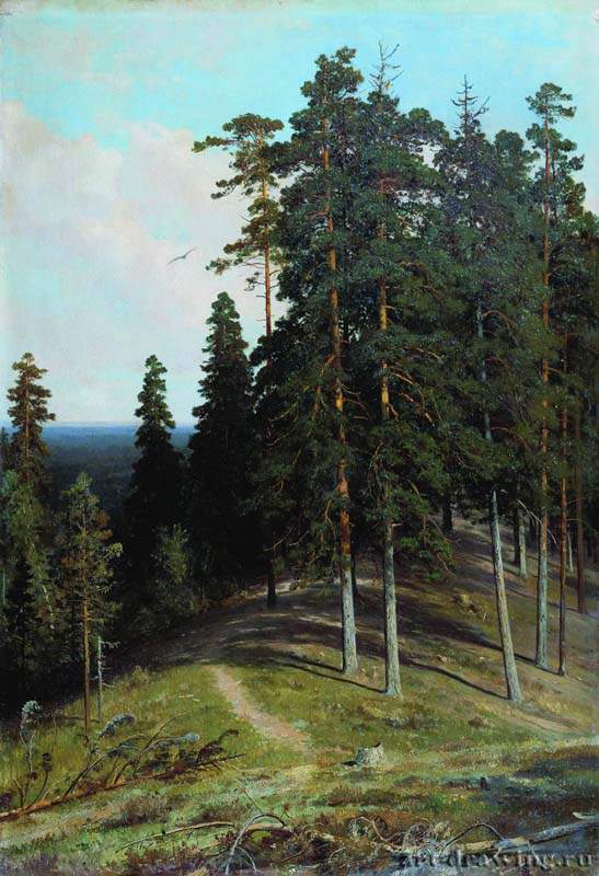 Лес с горы. 1895 - 106,4 х 73